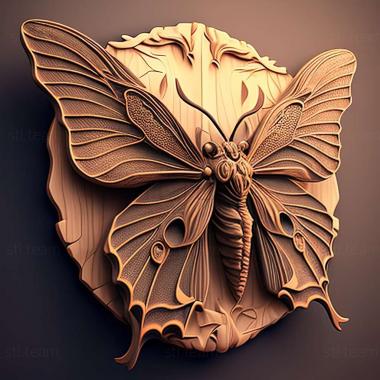 3D модель Urolophus papilio (STL)